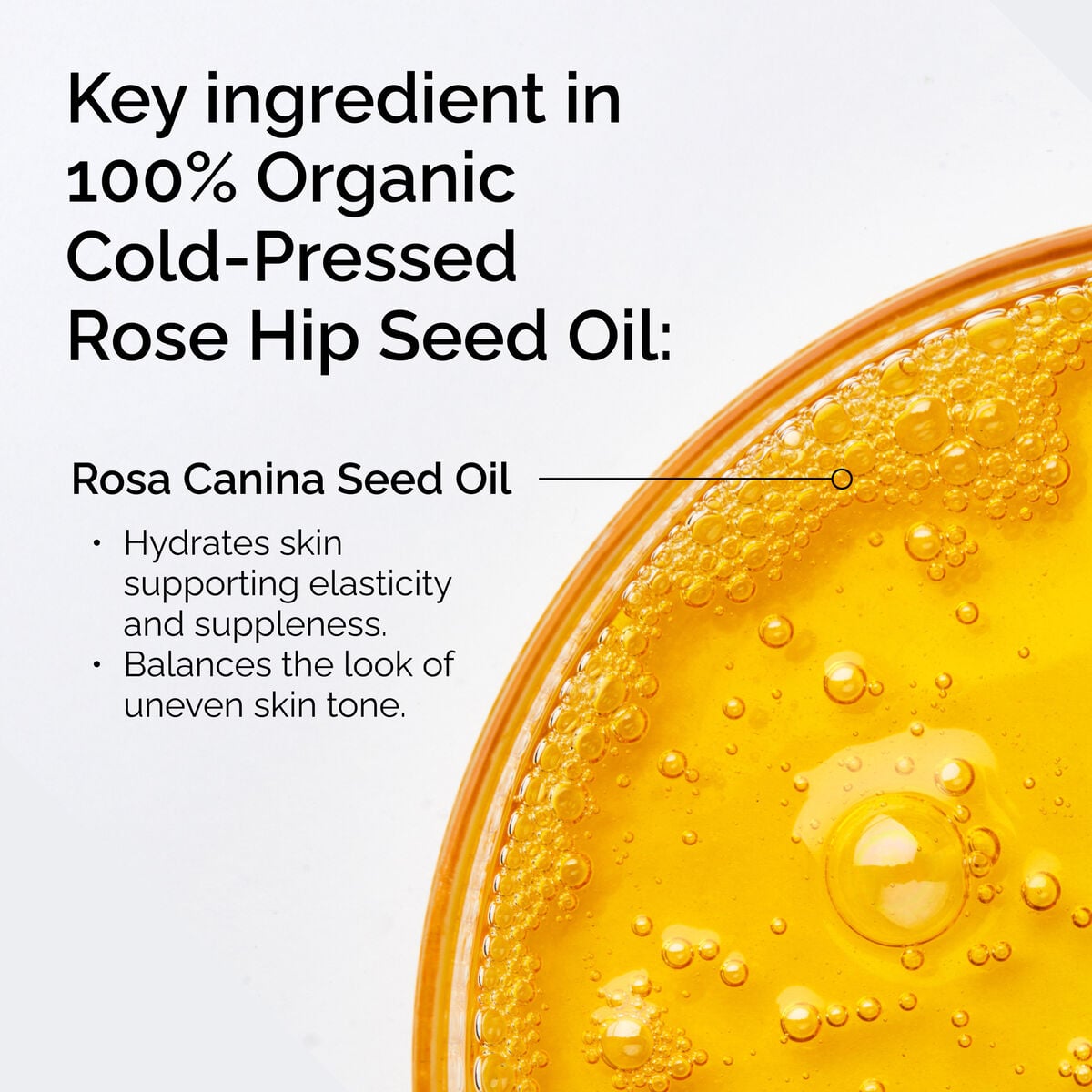 100-organic-cold-pressed-rose-hip-seed-oil-f4 FY25-D41247-ORD-Web-PDP-100-Rose-Hip-Oil-1x1-EN-2.jpg