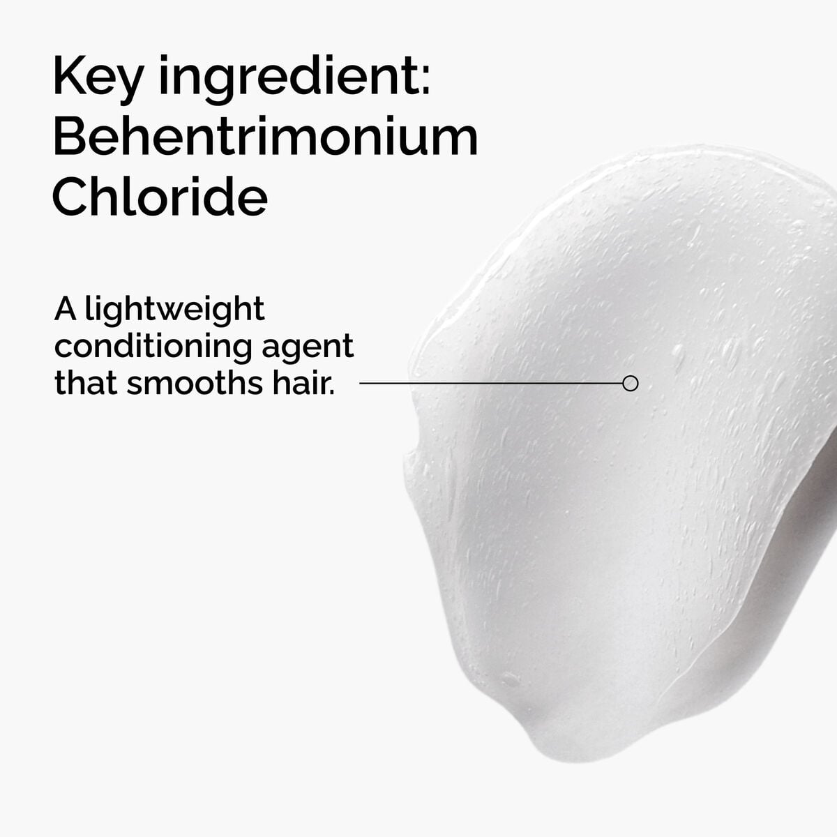 behentrimonium-chloride-2-conditioner-l5 FY25-D41247-ORD-Web-PDP-BTC-1x1-EN-2a.jpg