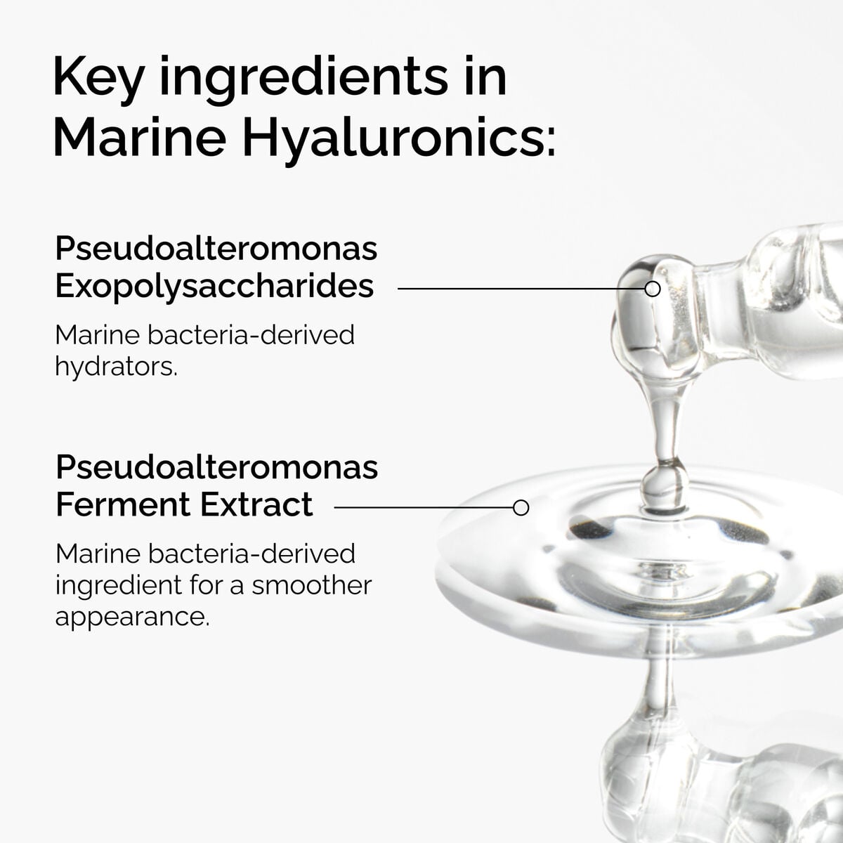 marine-hyaluronics-n9 FY25-D41247-ORD-Web-PDP-Marine-Hya-1x1-EN-2a.jpg