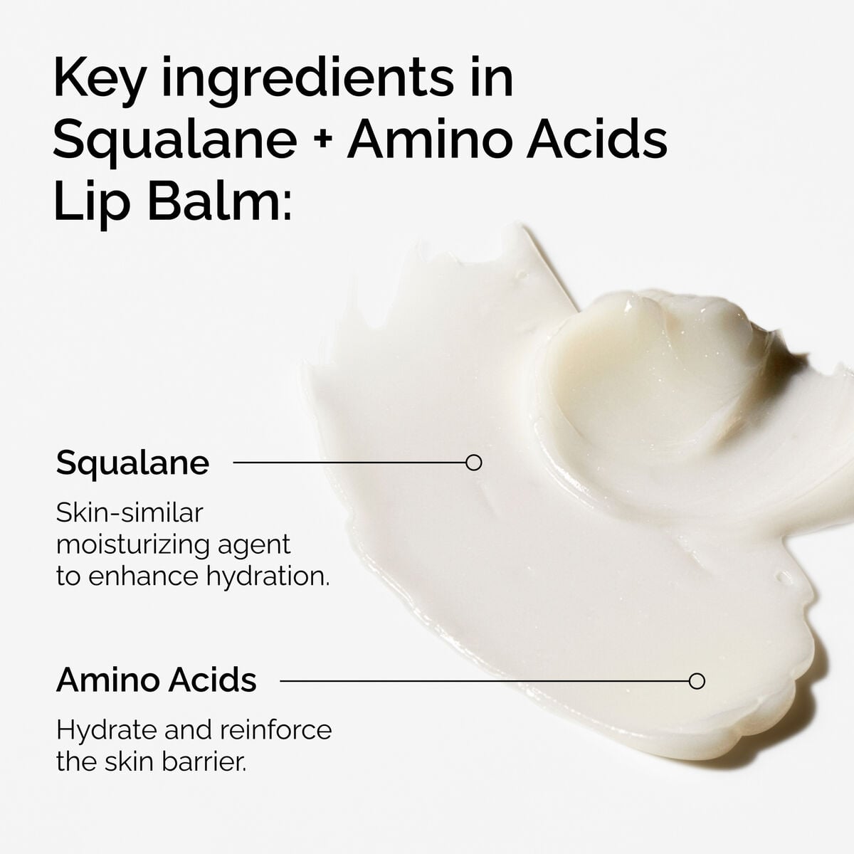 squalane-amino-acids-lip-balm-h2 FY25-D41247-ORD-Web-PDP-Sql-Amino-Lip-1x1-EN-2a.jpg