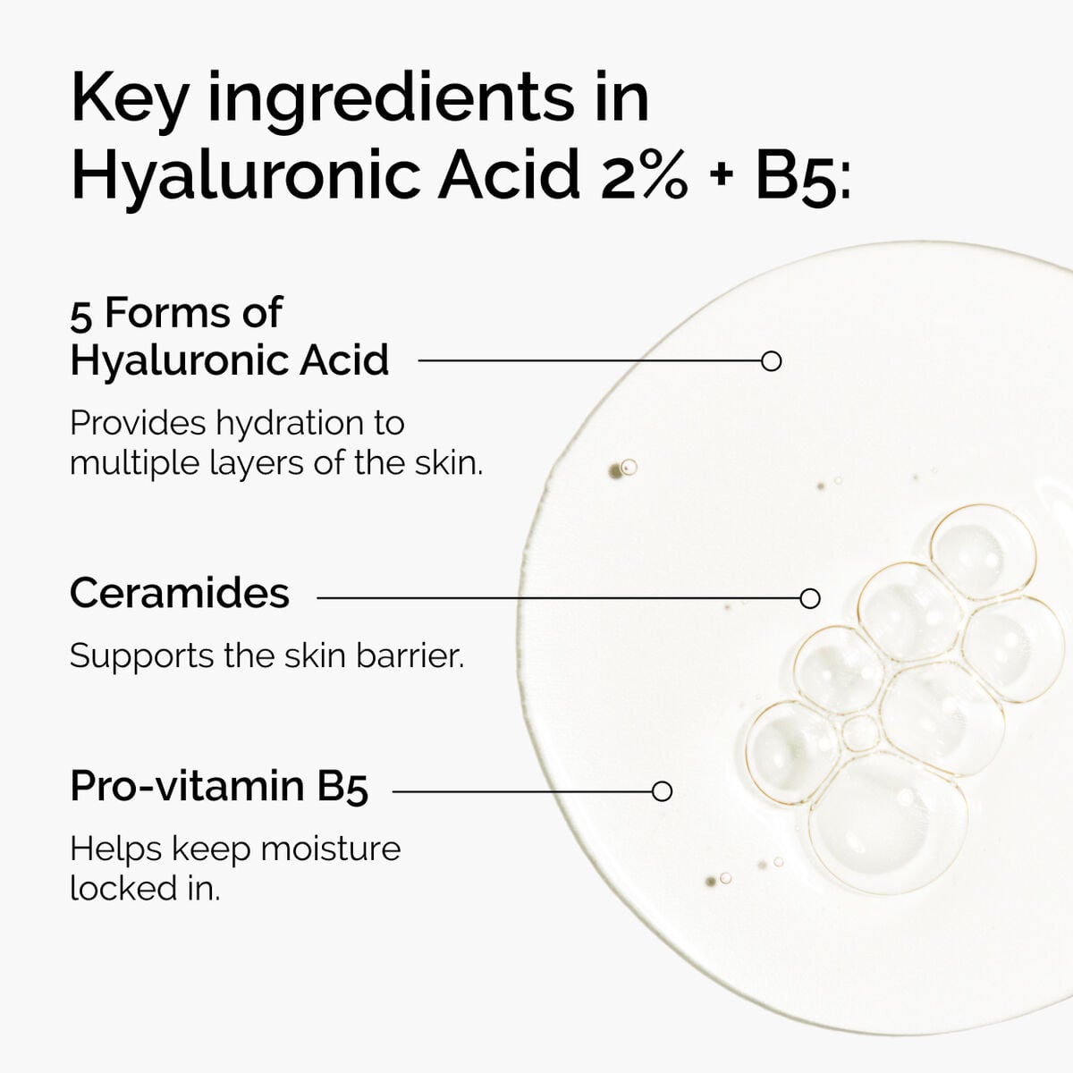 hyaluronic-acid-2-b5-with-ceramides-h6 ord-hyaluronic-acid-2pct-b5-hydrating-serum-ingredients-graphic.jpg