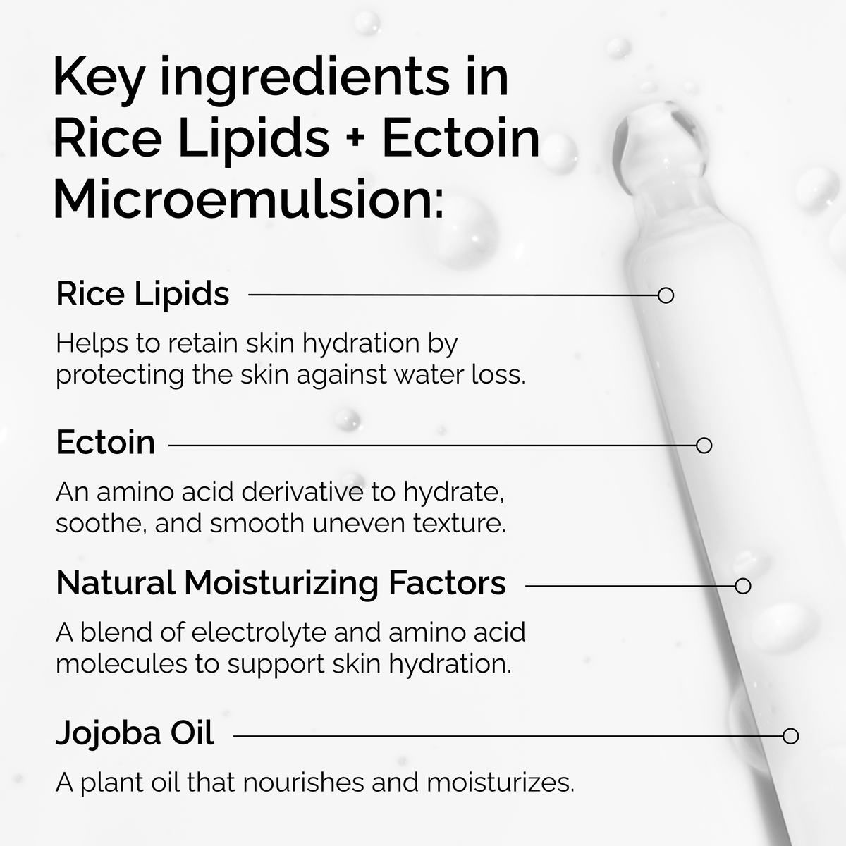 rice-lipids-ectoin-microemulsion-y6 ord-rice-lipids-ectoin-microemulsion-key-ingredients.png