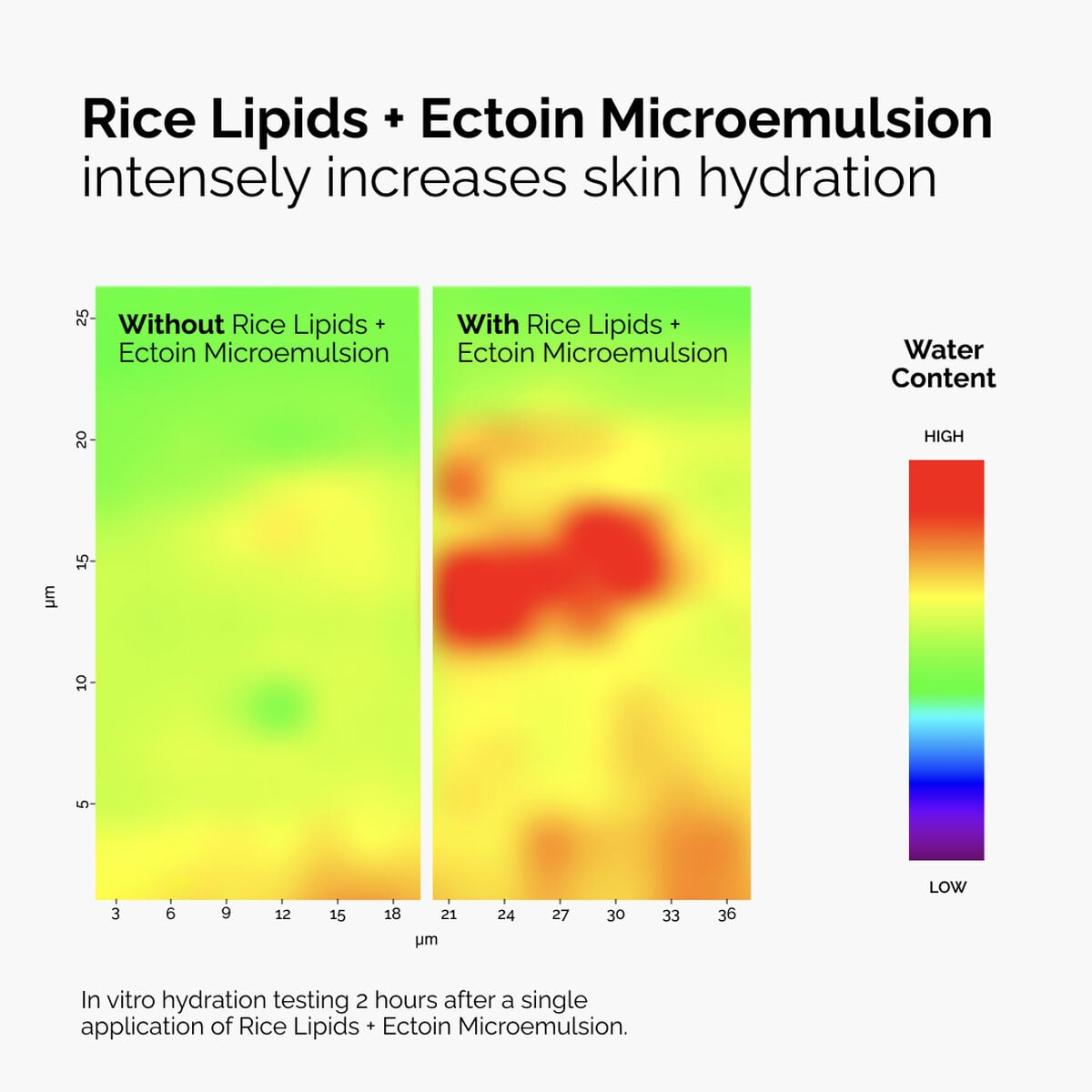 rice-lipids-ectoin-microemulsion-y6 ord-rice-lipids-ectoin-microemulsion-thermal-before-after.jpg